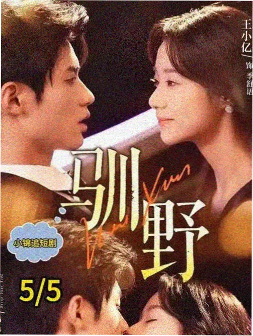 雾港迷航科幻剧缓存